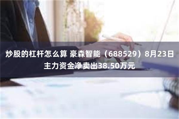 炒股的杠杆怎么算 豪森智能（688529）8月23日主力资金