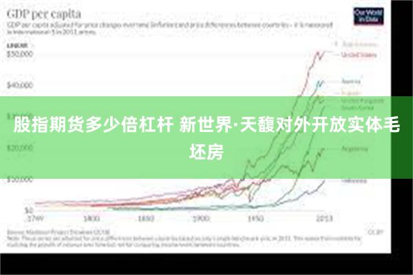 股指期货多少倍杠杆 新世界·天馥对外开放实体毛坯房