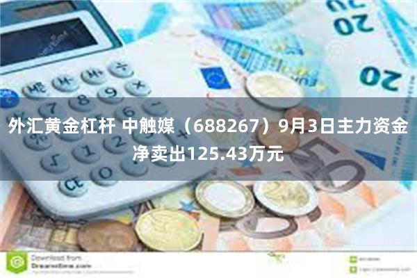 外汇黄金杠杆 中触媒（688267）9月3日主力资金净卖出1