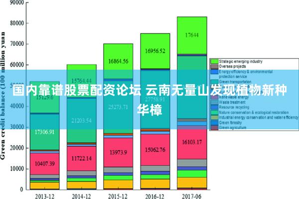 国内靠谱股票配资论坛 云南无量山发现植物新种华樟