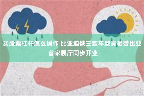 买股票杠杆怎么操作 比亚迪携三款车型亮相赞比亚 首家展厅同步