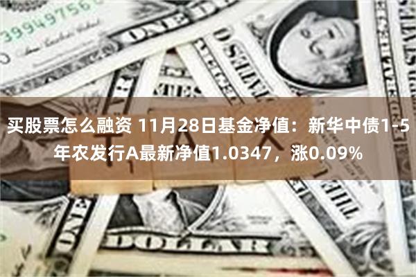 买股票怎么融资 11月28日基金净值：新华中债1-5年农发行