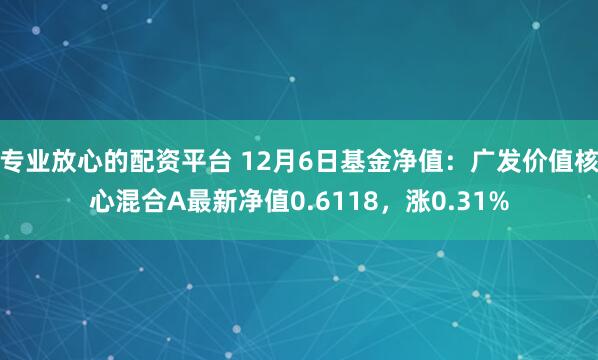 专业放心的配资平台 12月6日基金净值：广发价值核心混合A最新净值0.6118，涨0.31%