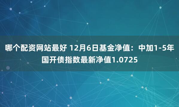 哪个配资网站最好 12月6日基金净值：中加1-5年国开债指数最新净值1.0725