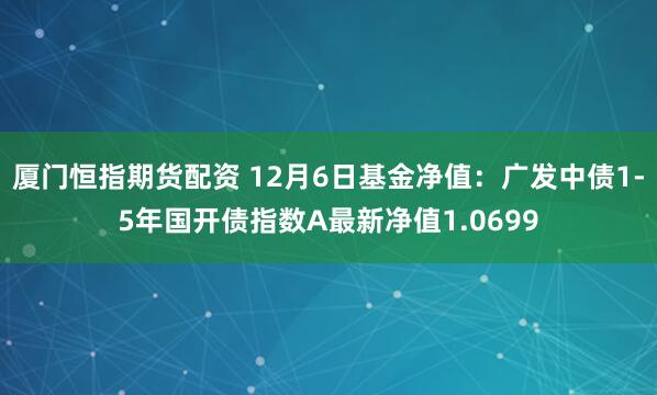 厦门恒指期货配资 12月6日基金净值：广发中债1-5年国开债指数A最新净值1.0699