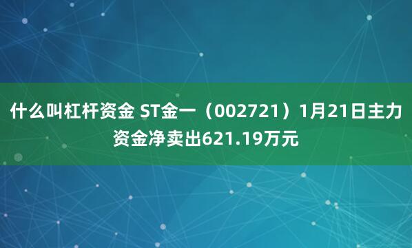 什么叫杠杆资金 ST金一（002721）1月21日主力资金净卖出621.19万元