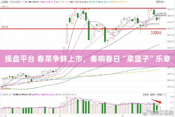 操盘平台 春菜争鲜上市，奏响春日“菜篮子”乐章