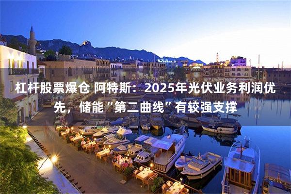 杠杆股票爆仓 阿特斯：2025年光伏业务利润优先，储能“第二曲线”有较强支撑