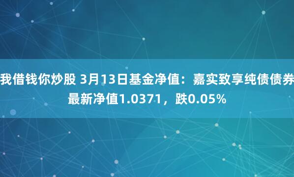 我借钱你炒股 3月13日基金净值：嘉实致享纯债债券最新净值1.0371，跌0.05%